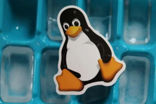 Le Migliori Distribuzioni Linux Leggere per il tuo PC